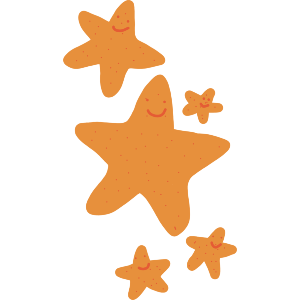 A Family Of Starfish 