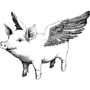Pig with Wings