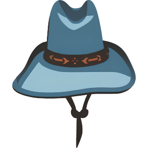 Cowboy Hat