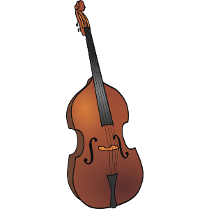 Double Bass 
