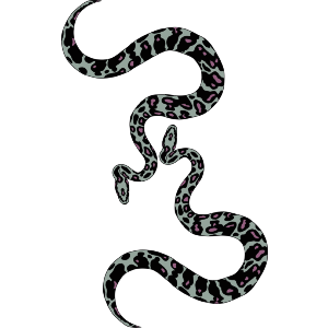 The Snakes