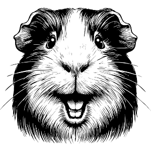 Happy Guinea Pig