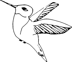 Hummingbird