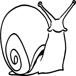 Snail