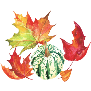 Colorful Fall Leaves And Patterned Pumpkin 