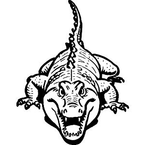 Philippine Crocodile
