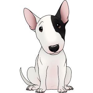 Sitting Bull Terrier
