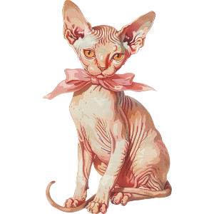  Sphynx Kitten with Bow