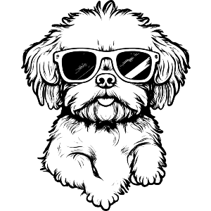Dog in Sunglasses