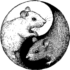Yin-Yang Rats