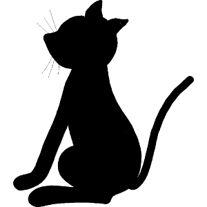 A Black Cat