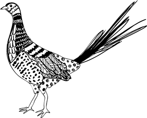Patterned Pheasant
