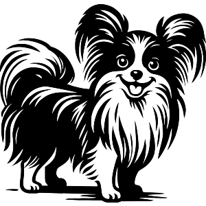 Cute Papillon Dog