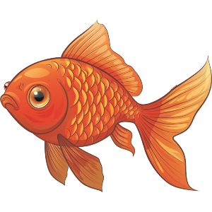 Goldfish