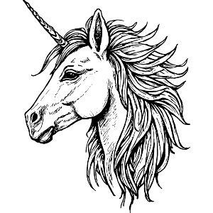 Unicorn Mane