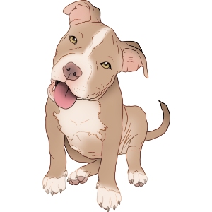 Adorable Pitbull Puppy