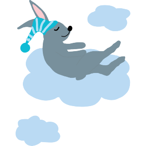 Rabbit Asleep Floating On A Cloud