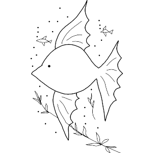Fish in Their Beautiful Habitat 