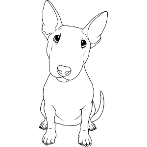 Sitting Bull Terrier