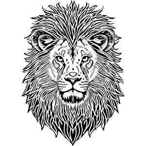 Proud Lion Face