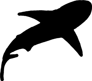 Shark Silhouette