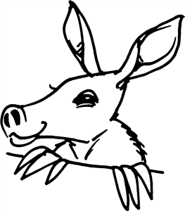 Peeking Aardvark