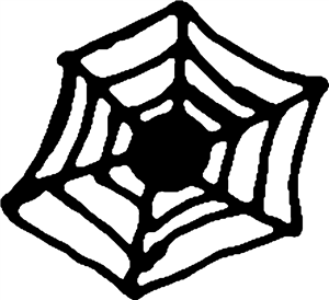 Spider Web