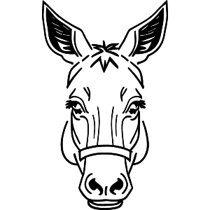 Sleepy Donkey
