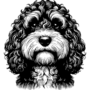 Cockapoo Dog