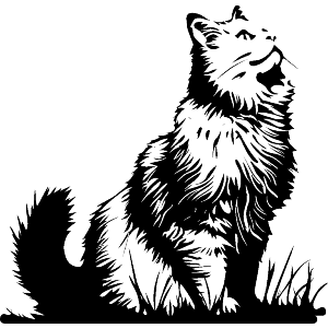  Siberian Cat Looking Up