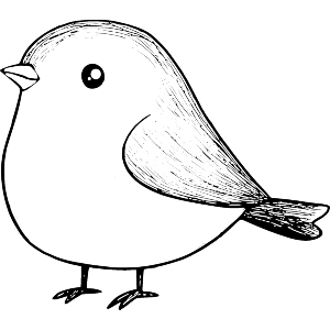 Cute Fat Bird