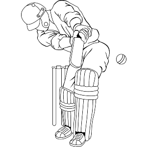Cricket Player