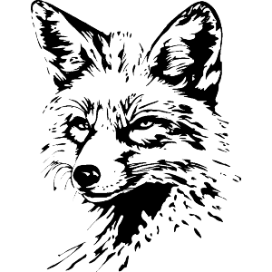 Fox Portrait