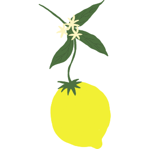 Lemon with foliage 