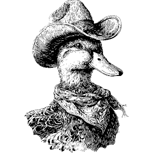 Mallard Duck with Cowboy Hat