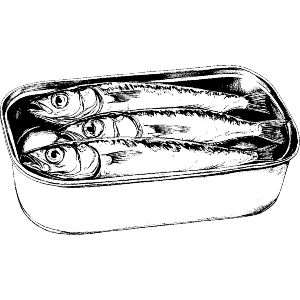 Tin of Sardines