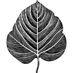 leaf