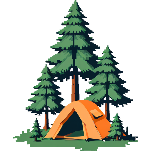 Tent & Pine Trees