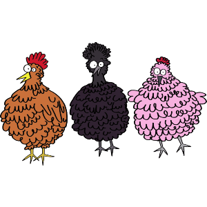 Three Chunky Chickens