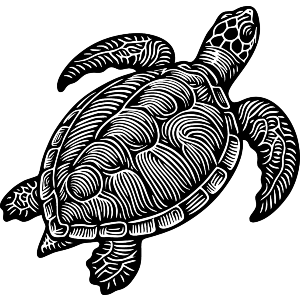 Swimming Turtle
