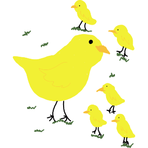 Chicken Out With Her Chick