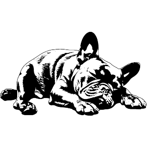 French Bulldog Sleeping
