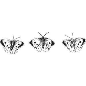 Three Little Butterflies