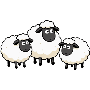 Flock of Sheep
