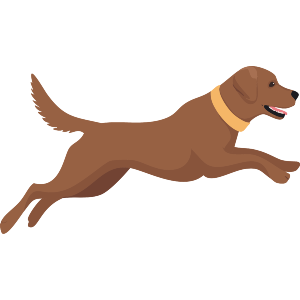 Labrador Running Simple 