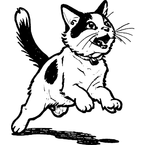 Japanese Bobtail Cat