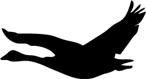 Goose Silhouette