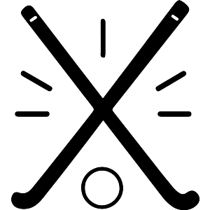 Hockey Sticks & Puck