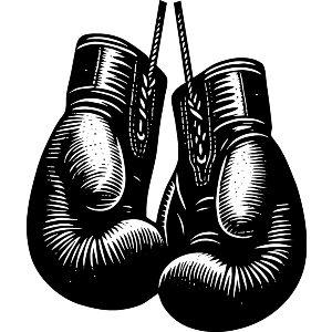 Boxing Gloves