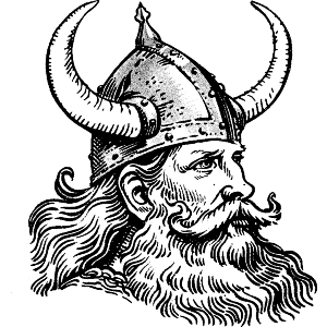 Viking Portrait Side View
